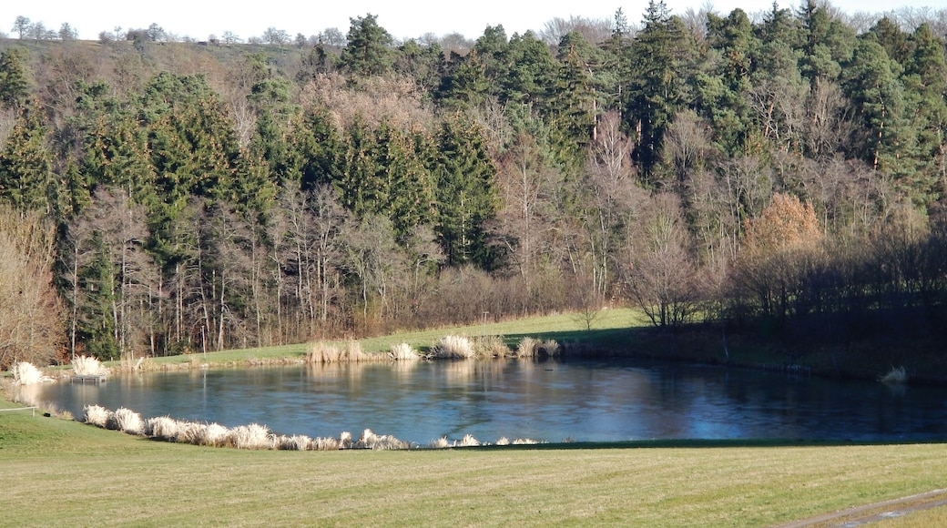 Fischteich mit Riegenbrunnenbach