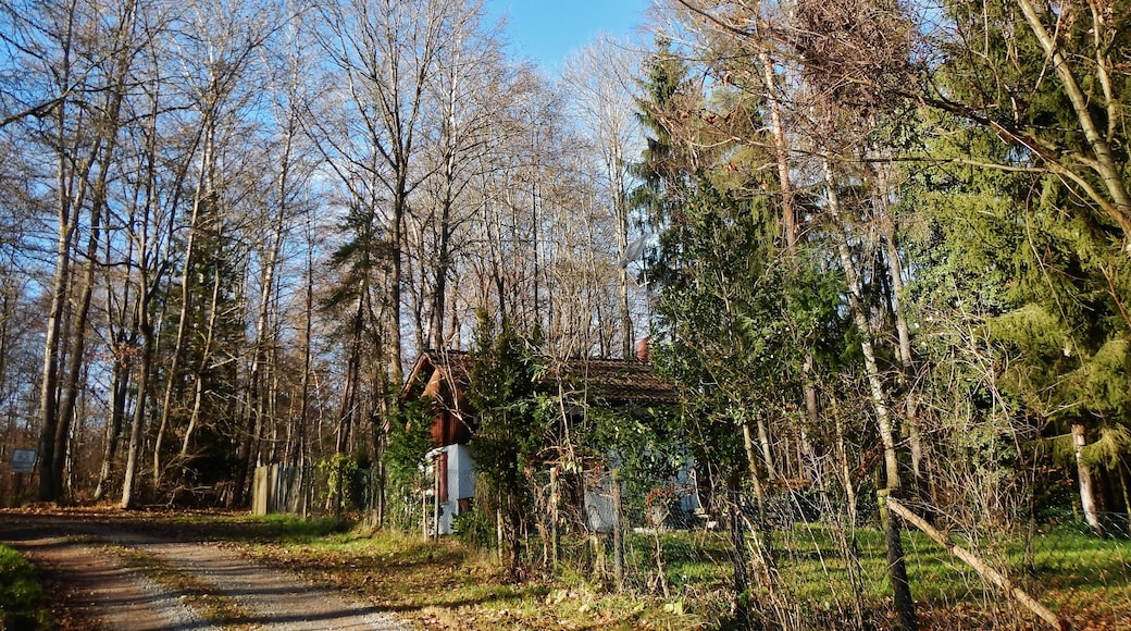 Naturpark Schönbuch