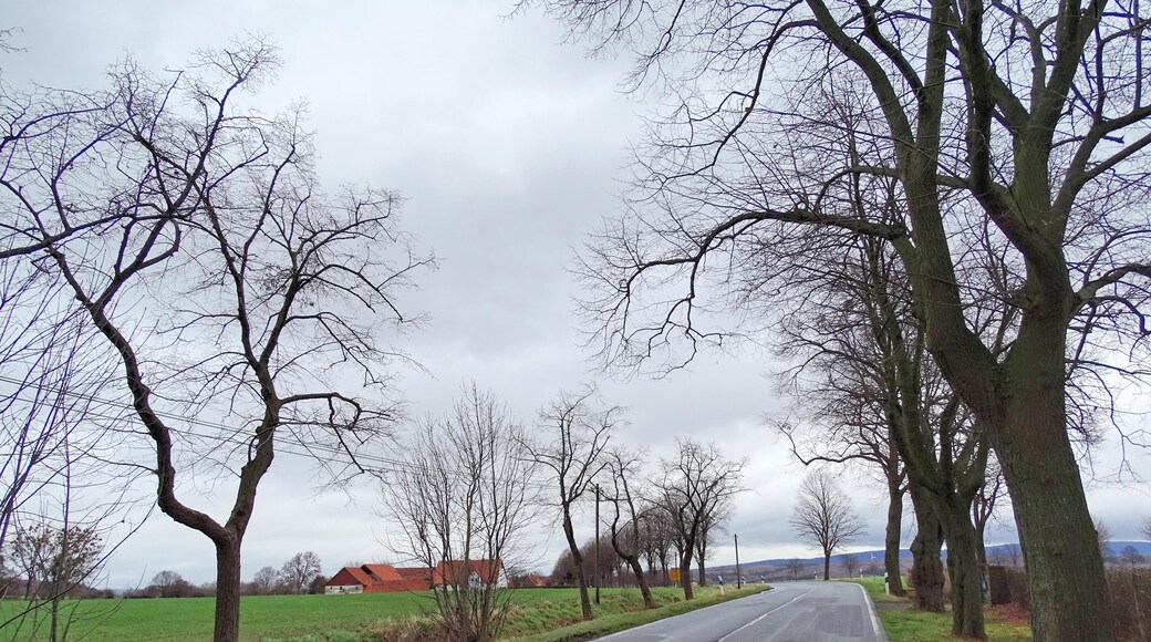 31749 Auetal, Germany