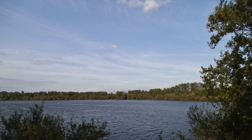 Illinger Baggersee