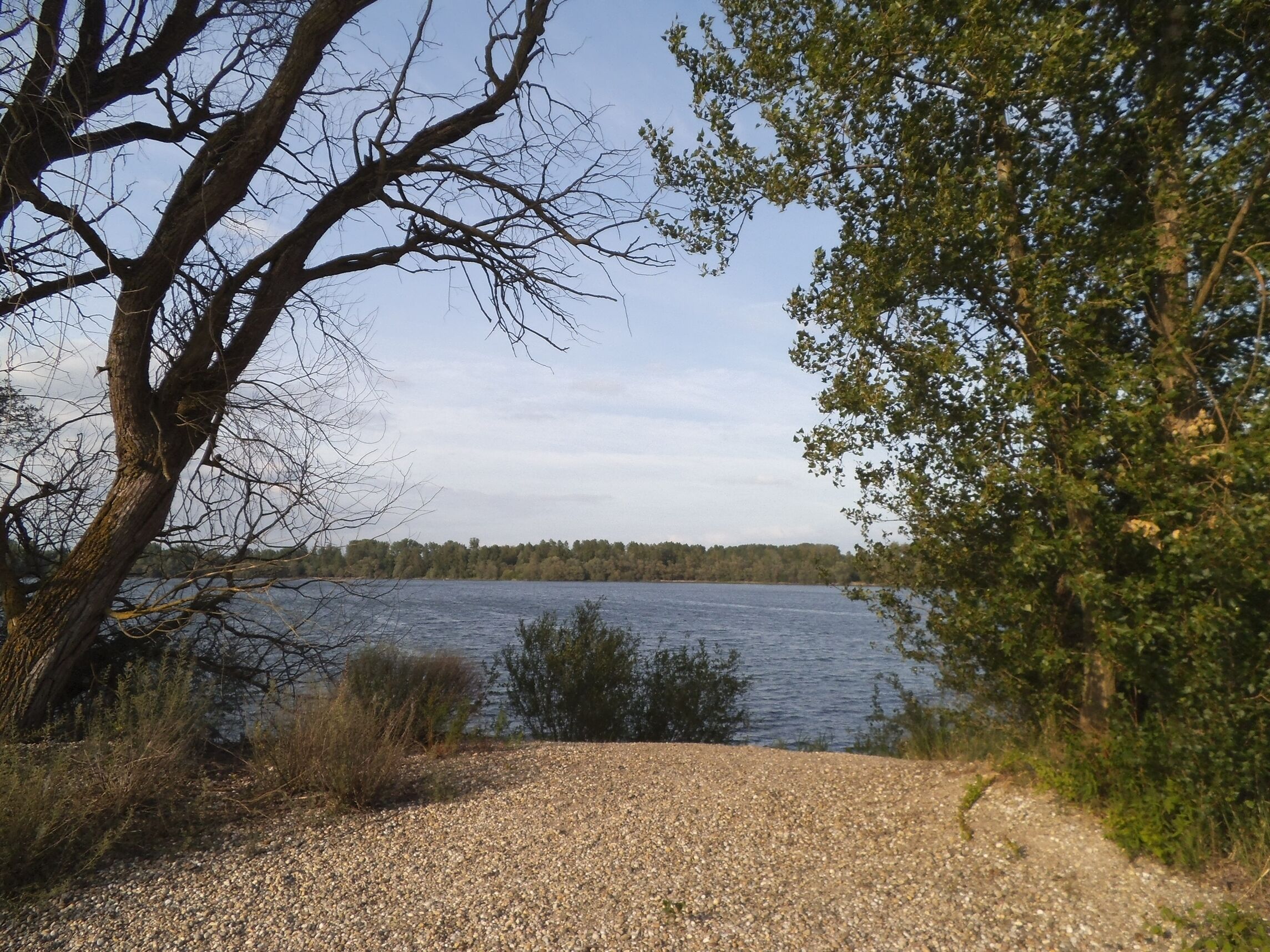 Illinger - Baggersee