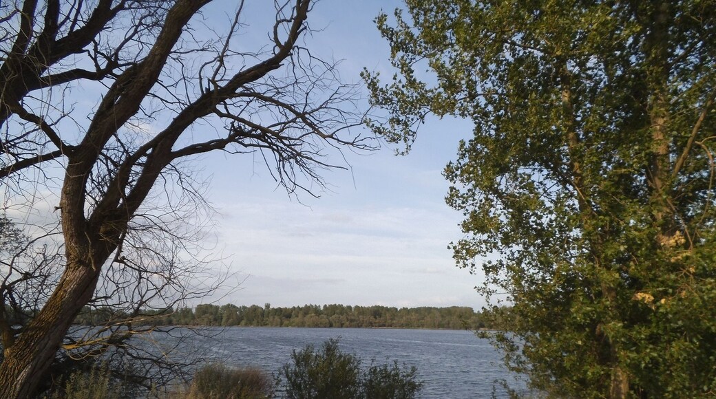 Illinger - Baggersee