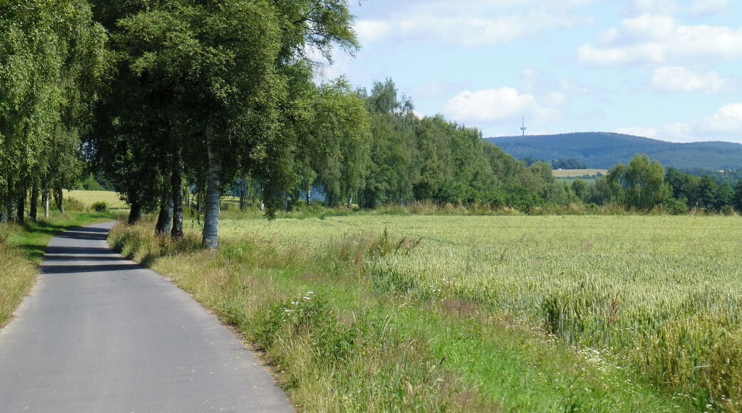 Ohm-Eder-Radweg südlich von Gemünden; Blick nordwärts zum Hohen Lohr