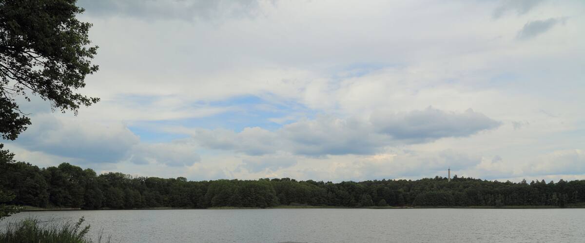 A calm lake with a wooden dock extending into the water, surrounded by lush greenery and a cloudy sky.