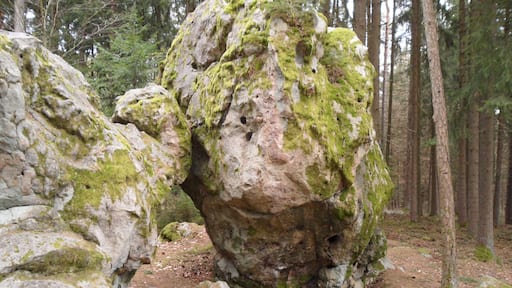 Hoher Stein bei Möckenlohe