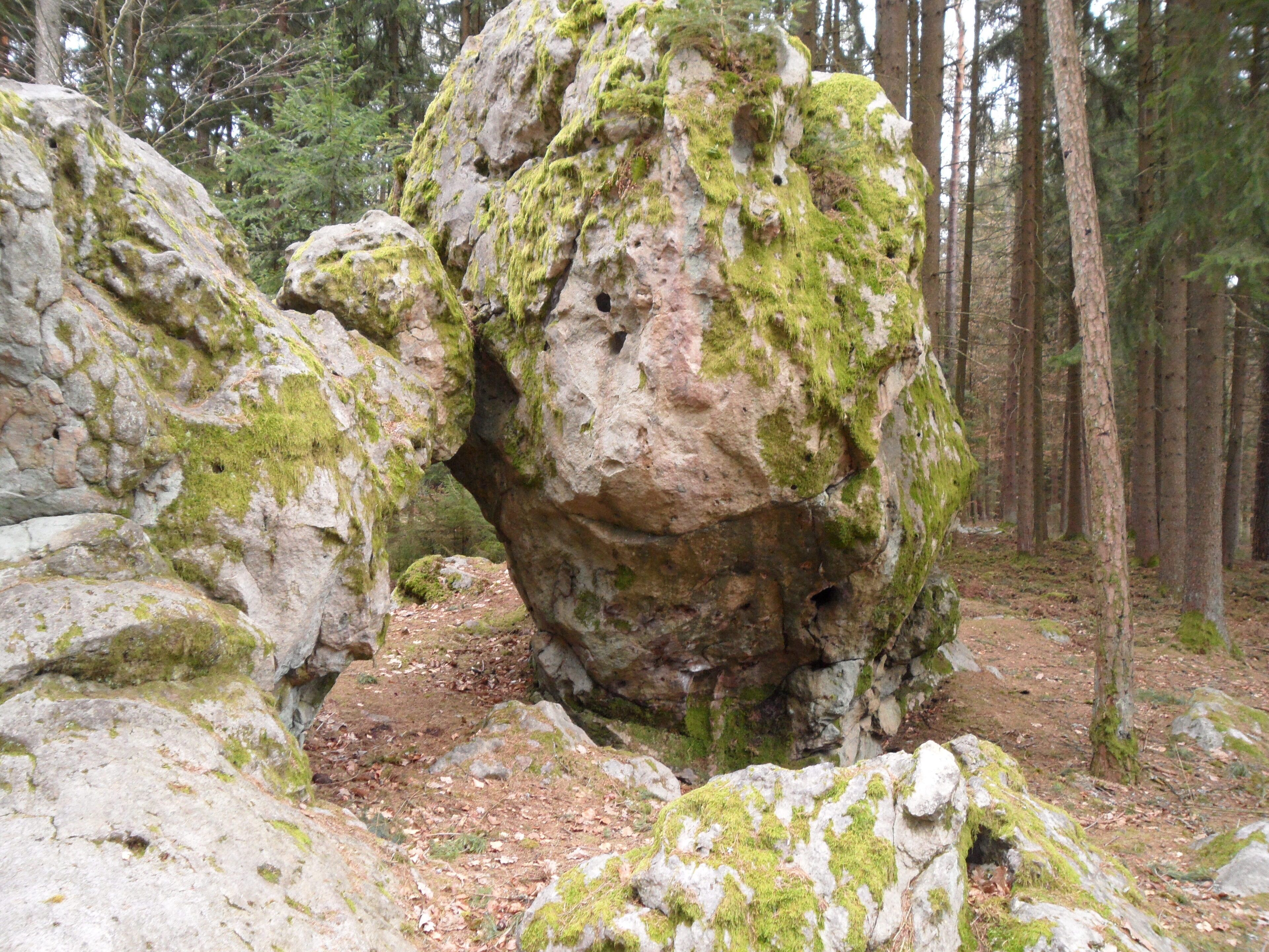 A large moss-covered rock formation in a forest.