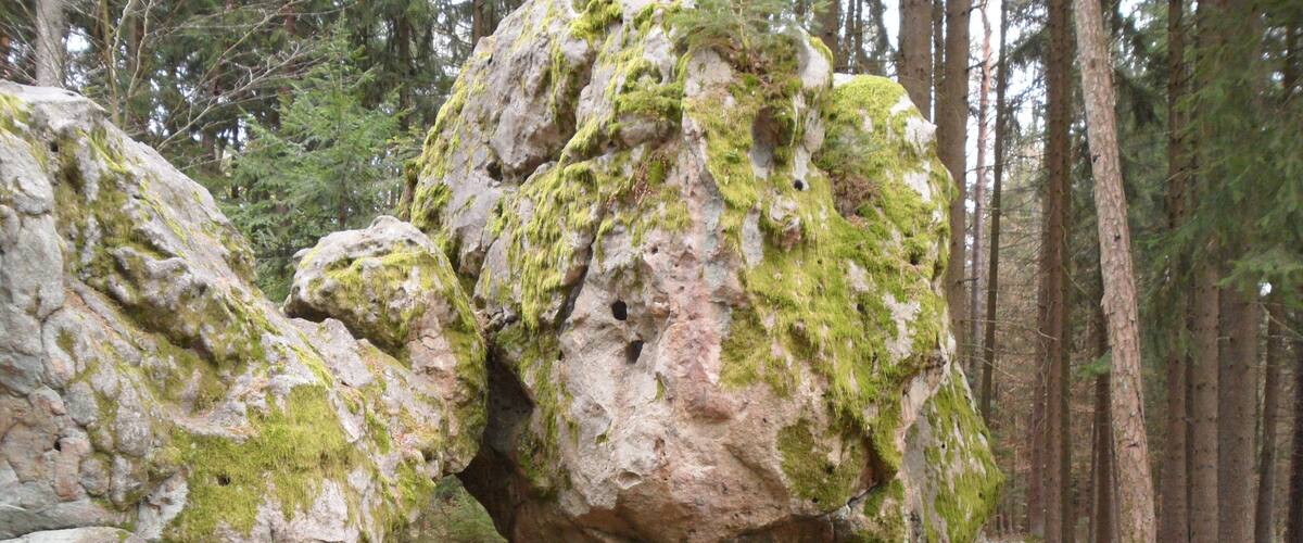 A large moss-covered rock formation in a forest.