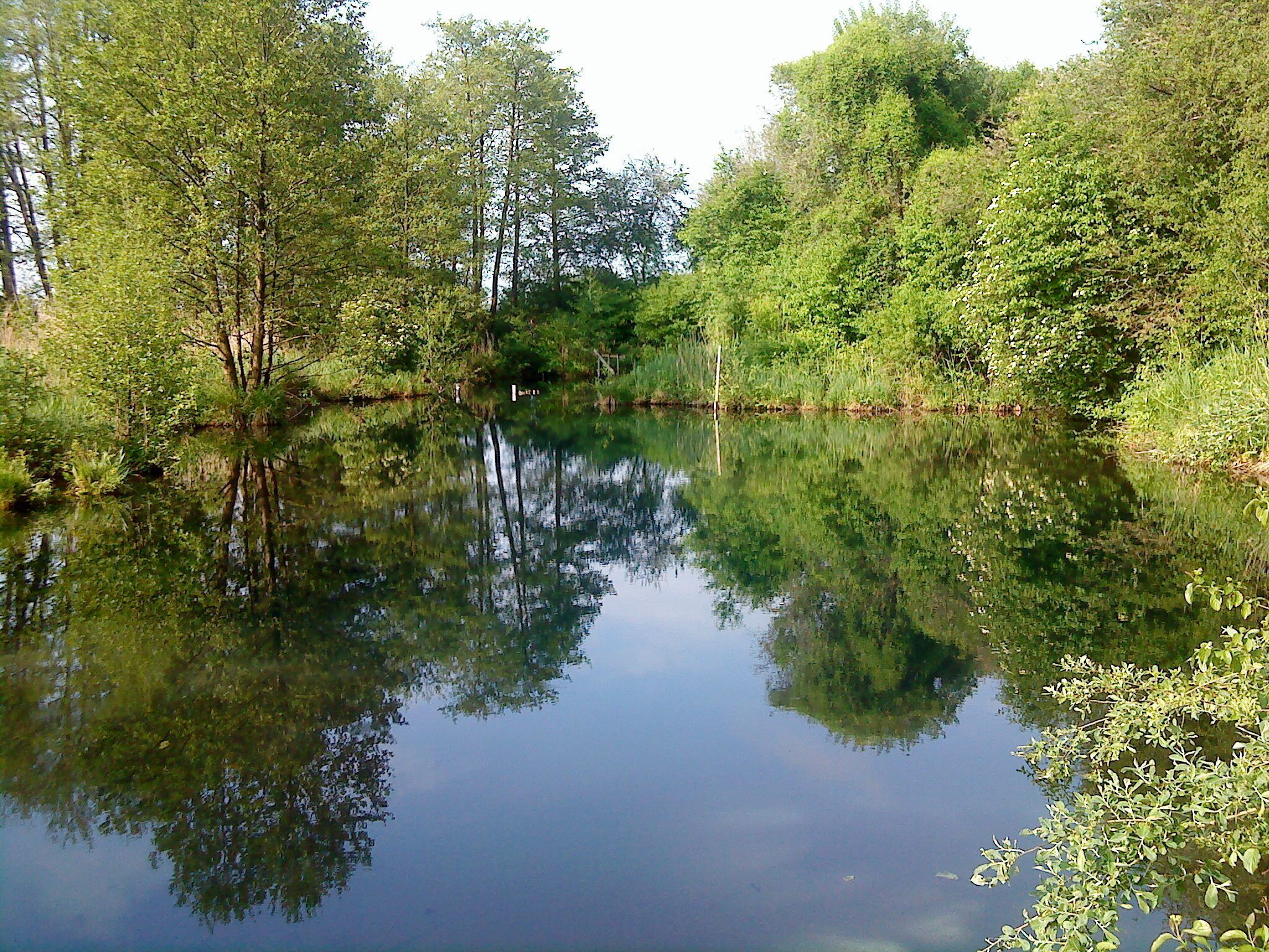 Tümpel der Gleßbrunnen bei Nassenfels