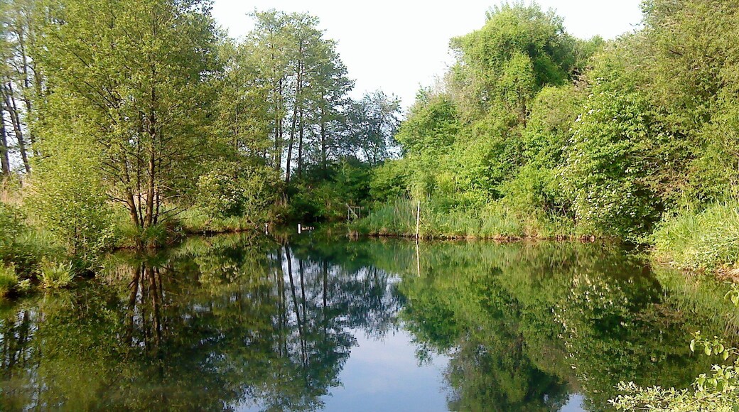 Tümpel der Gleßbrunnen bei Nassenfels