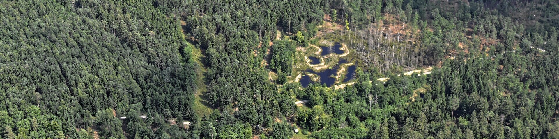 Bilder vom Flug Nordholz-Hammelburg 2015: TĂŒmpel im Feuerbachmoor im Neuwirtshauser Forst zwischen Untergeiersnest im Norden und Neuwirtshaus im SĂŒden.