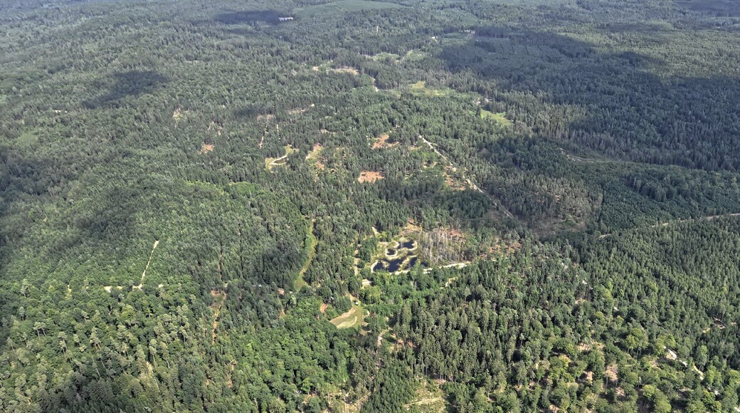 Bilder vom Flug Nordholz-Hammelburg 2015: Tümpel im Feuerbachmoor im Neuwirtshauser Forst zwischen Untergeiersnest im Norden und Neuwirtshaus im Süden.