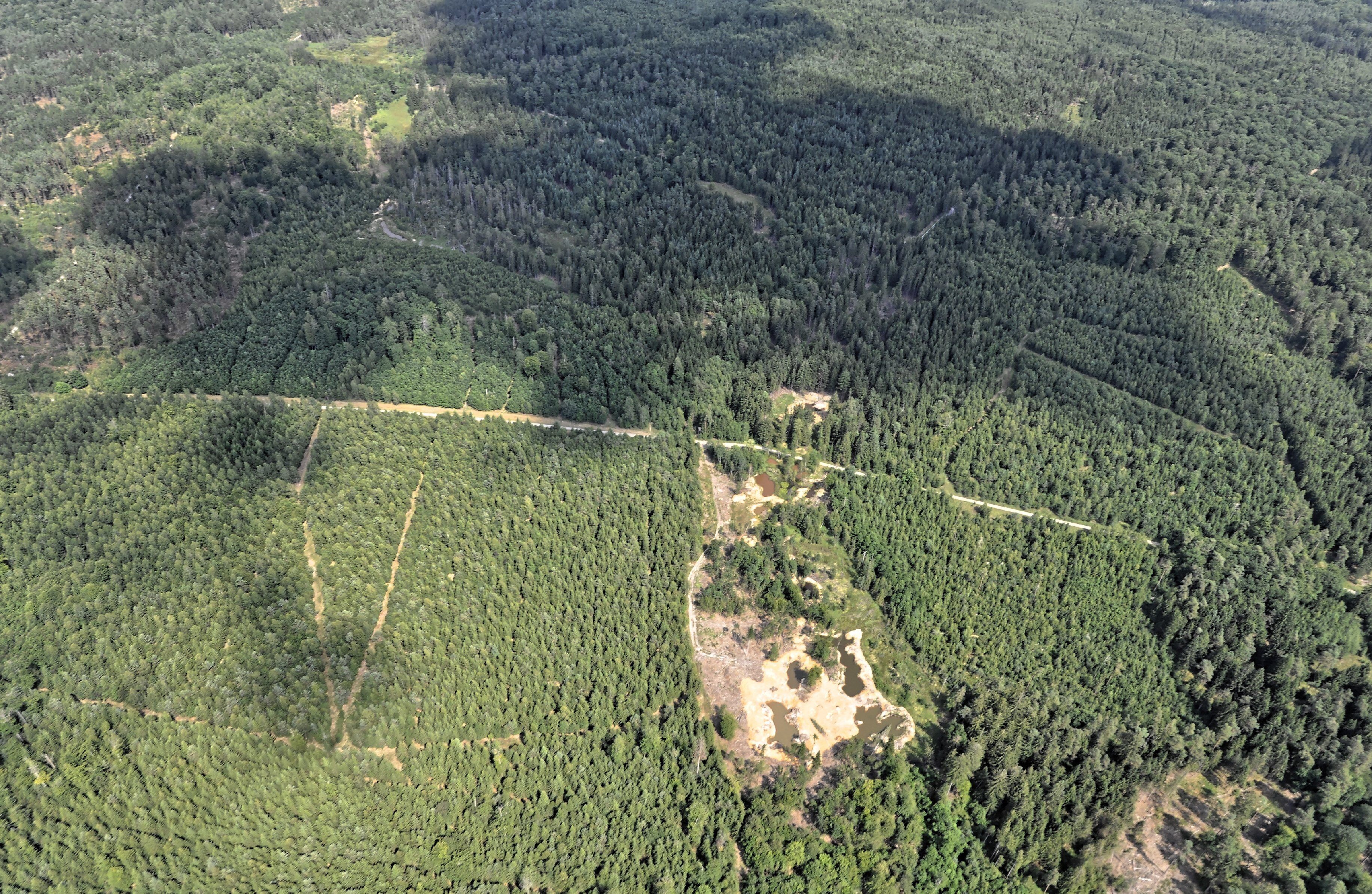 Bilder vom Flug Nordholz-Hammelburg 2015: Tümpel im Feuerbachmoor im Neuwirtshauser Forst zwischen Untergeiersnest im Norden und Neuwirtshaus im S üden.