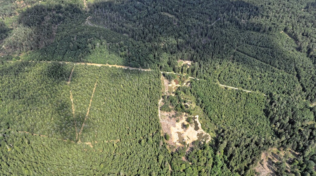 Bilder vom Flug Nordholz-Hammelburg 2015: Tümpel im Feuerbachmoor im Neuwirtshauser Forst zwischen Untergeiersnest im Norden und Neuwirtshaus im Süden.