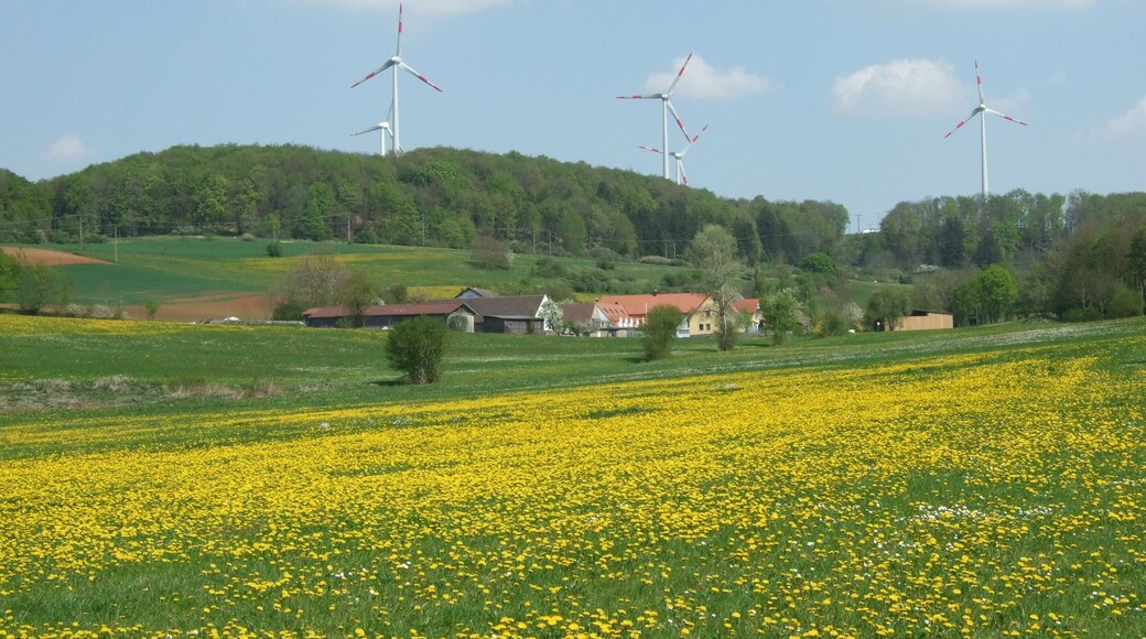Windpark Degersheim