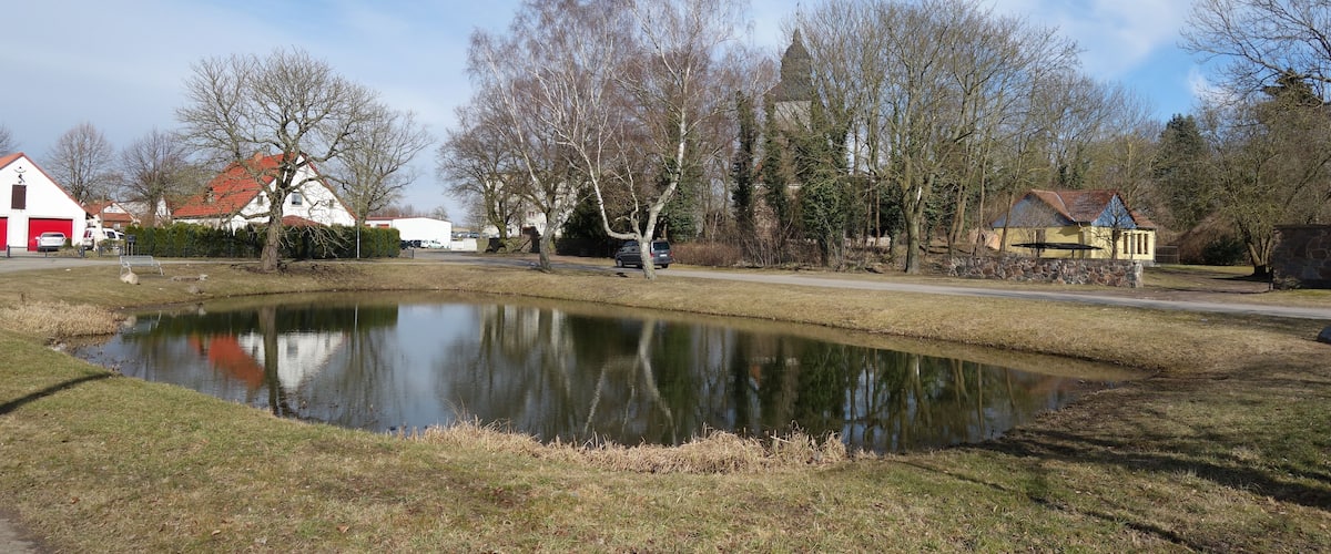 A pond surrounded by trees and houses.