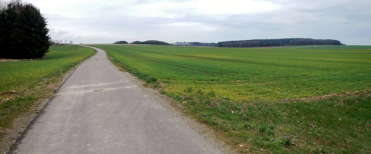 A rural road curving through green fields with a forest in the distance.