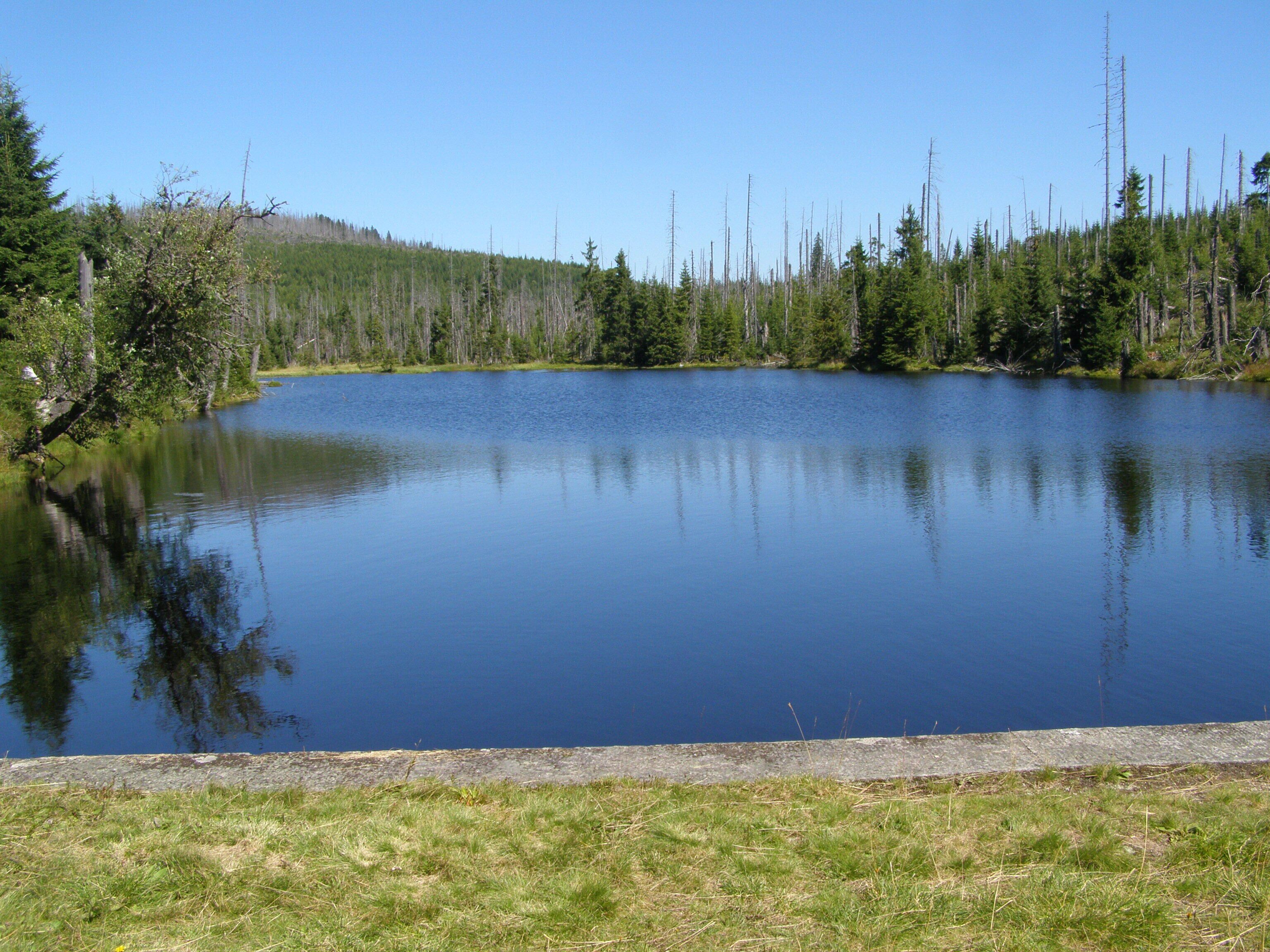 Vodní splavovací nádrž Reschbachklause v Národním parku Bavorský les; nedaleko hraničního přechodu do Národního parku Šumava (Česká republika). Na trase z Finsterau k vrcholu Siebensteinkopf.