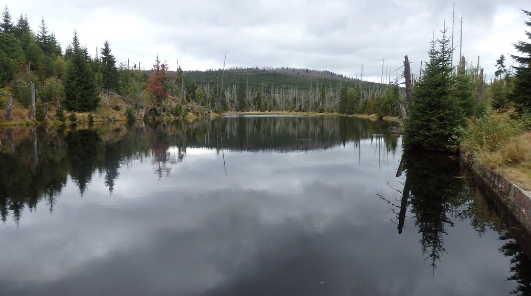 nádrž na plavení dřeva - Reschbachklause, Německo, nedaleko pramene Vltavy