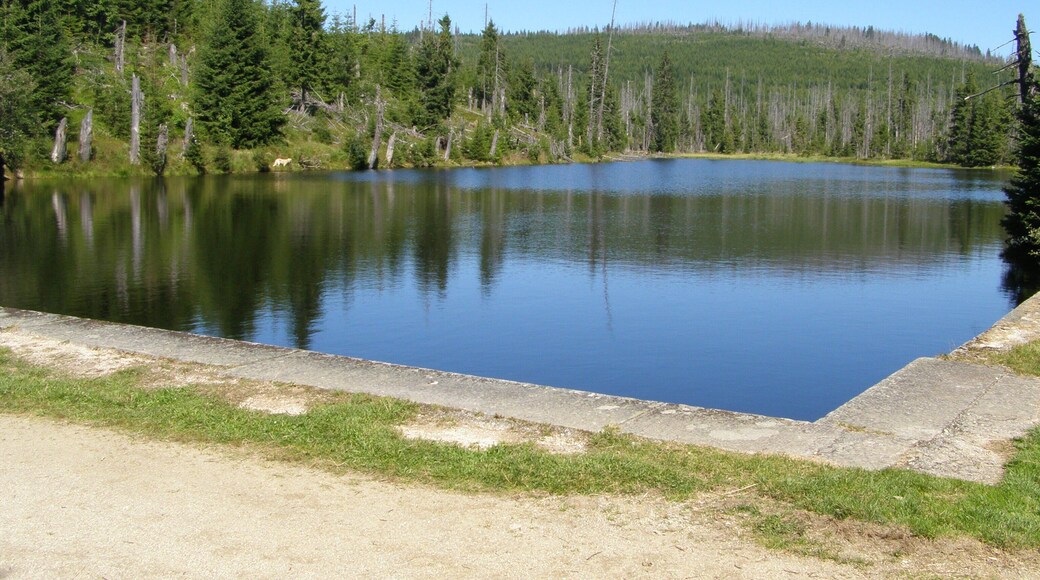 Vodní splavovací nádrž Reschbachklause v Národním parku Bavorský les; nedaleko hraničního přechodu do Národního parku Šumava (Česká republika). Na trase z Finsterau k vrcholu Siebensteinkopf.