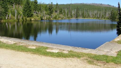 Vodní splavovací nádrž Reschbachklause v Národním parku Bavorský les; nedaleko hraničního přechodu do Národního parku Šumava (Česká republika). Na trase z Finsterau k vrcholu Siebensteinkopf.