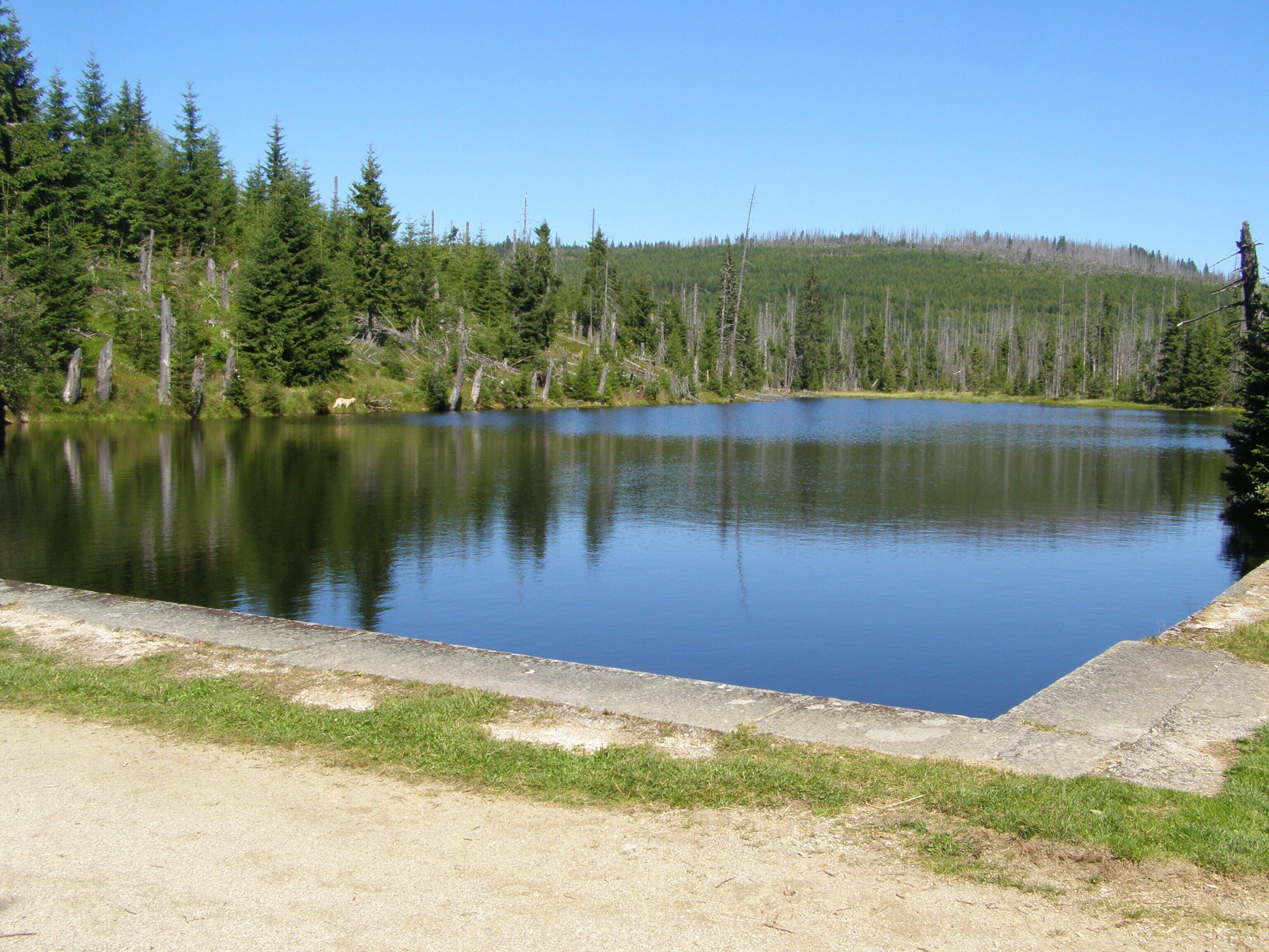 A calm lake surrounded by dense forest and a concrete embankment.