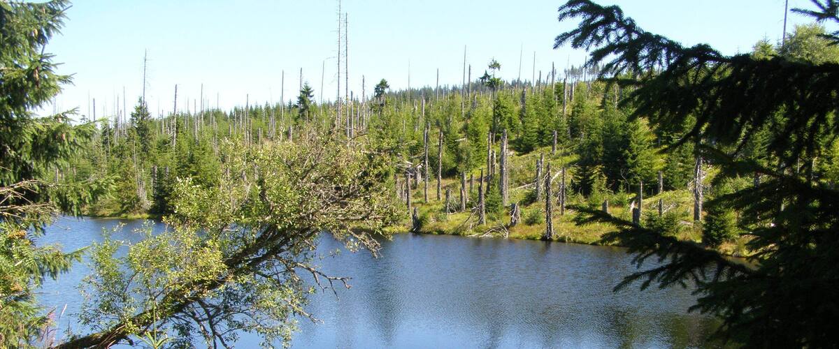 Vodní splavovací nádrž Reschbachklause v Národním parku Bavorský les; nedaleko hraničního přechodu do Národního parku Šumava (Česká republika). Na trase z Finsterau k vrcholu Siebensteinkopf.