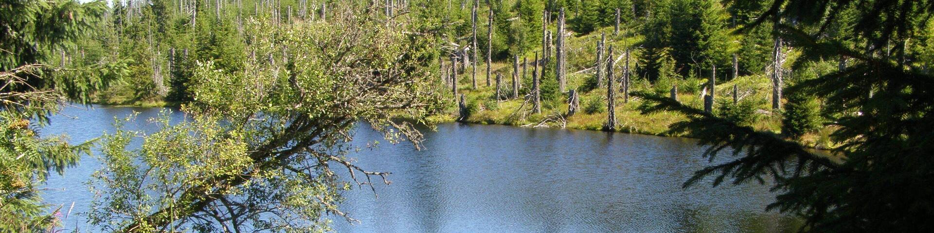 Vodní splavovací nádrž Reschbachklause v Národním parku Bavorský les; nedaleko hraničního přechodu do Národního parku Šumava (Česká republika). Na trase z Finsterau k vrcholu Siebensteinkopf.