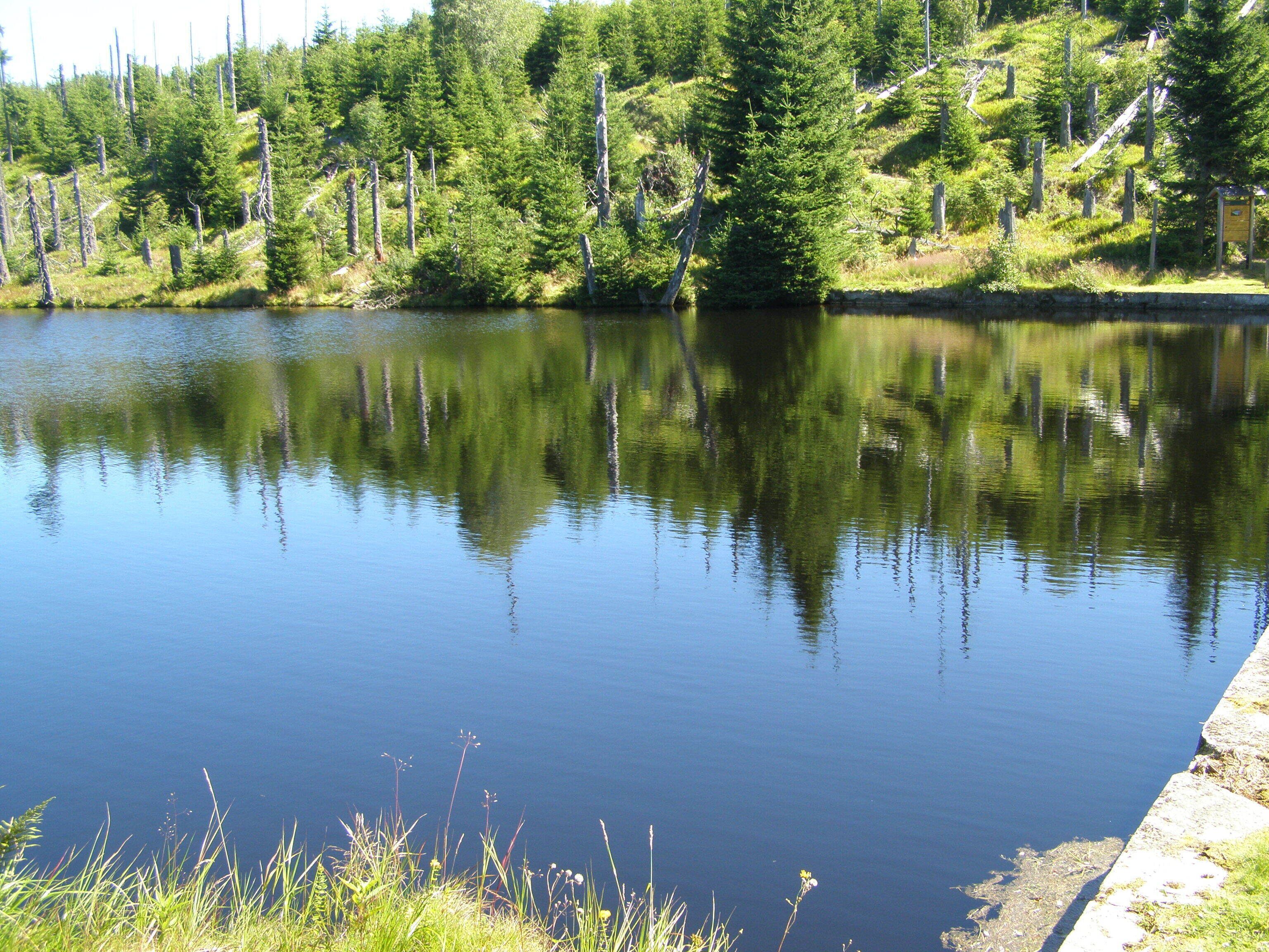 Vodní splavovací nádrž Reschbachklause v Národním parku Bavorský les; nedaleko hraničního přechodu do Národního parku Šumava (Česká republika). Na trase z Finsterau k vrcholu Siebensteinkopf.