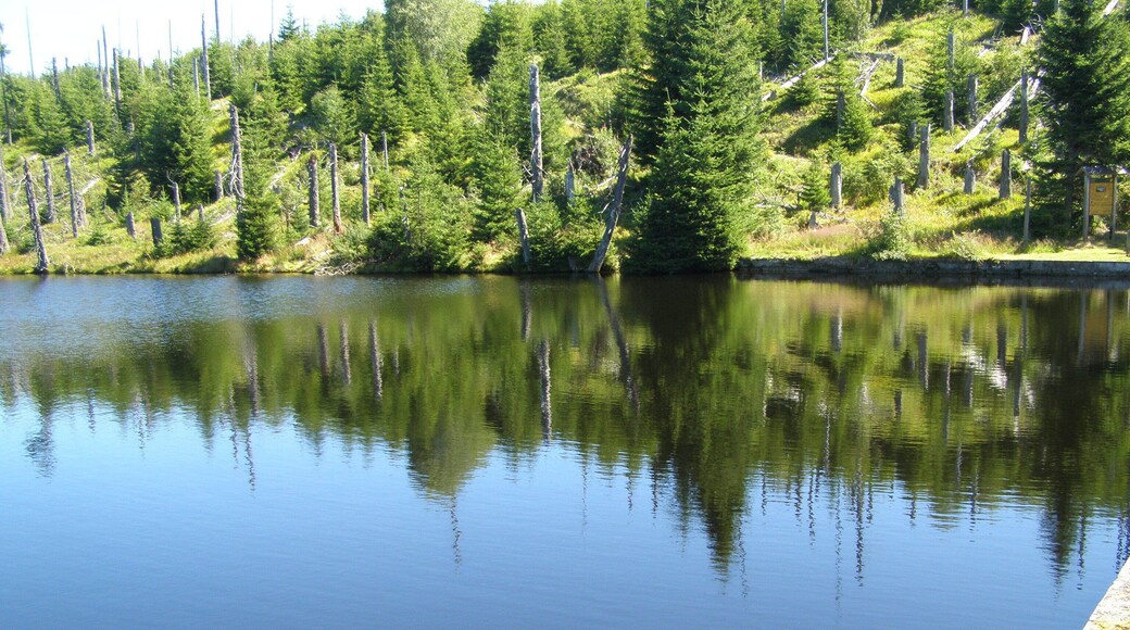 Vodní splavovací nádrž Reschbachklause v Národním parku Bavorský les; nedaleko hraničního přechodu do Národního parku Šumava (Česká republika). Na trase z Finsterau k vrcholu Siebensteinkopf.