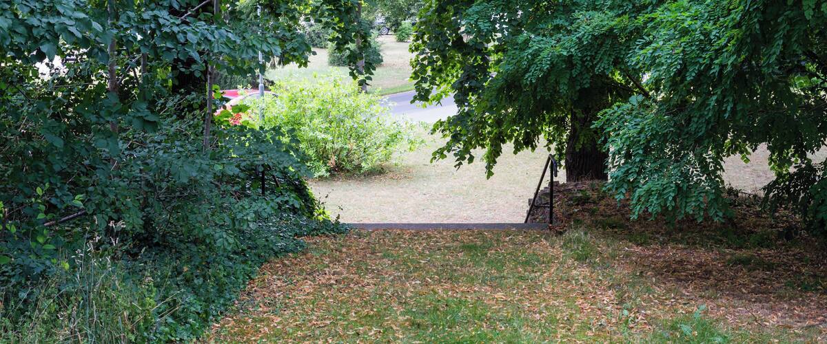 A grassy area with trees and a path leading to a driveway.