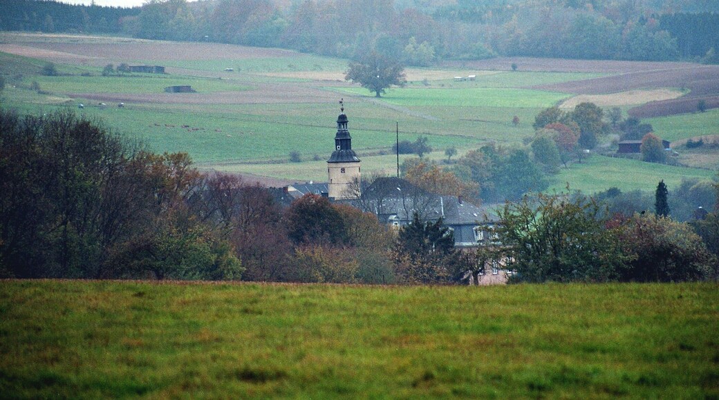 Birstein, view to the castle