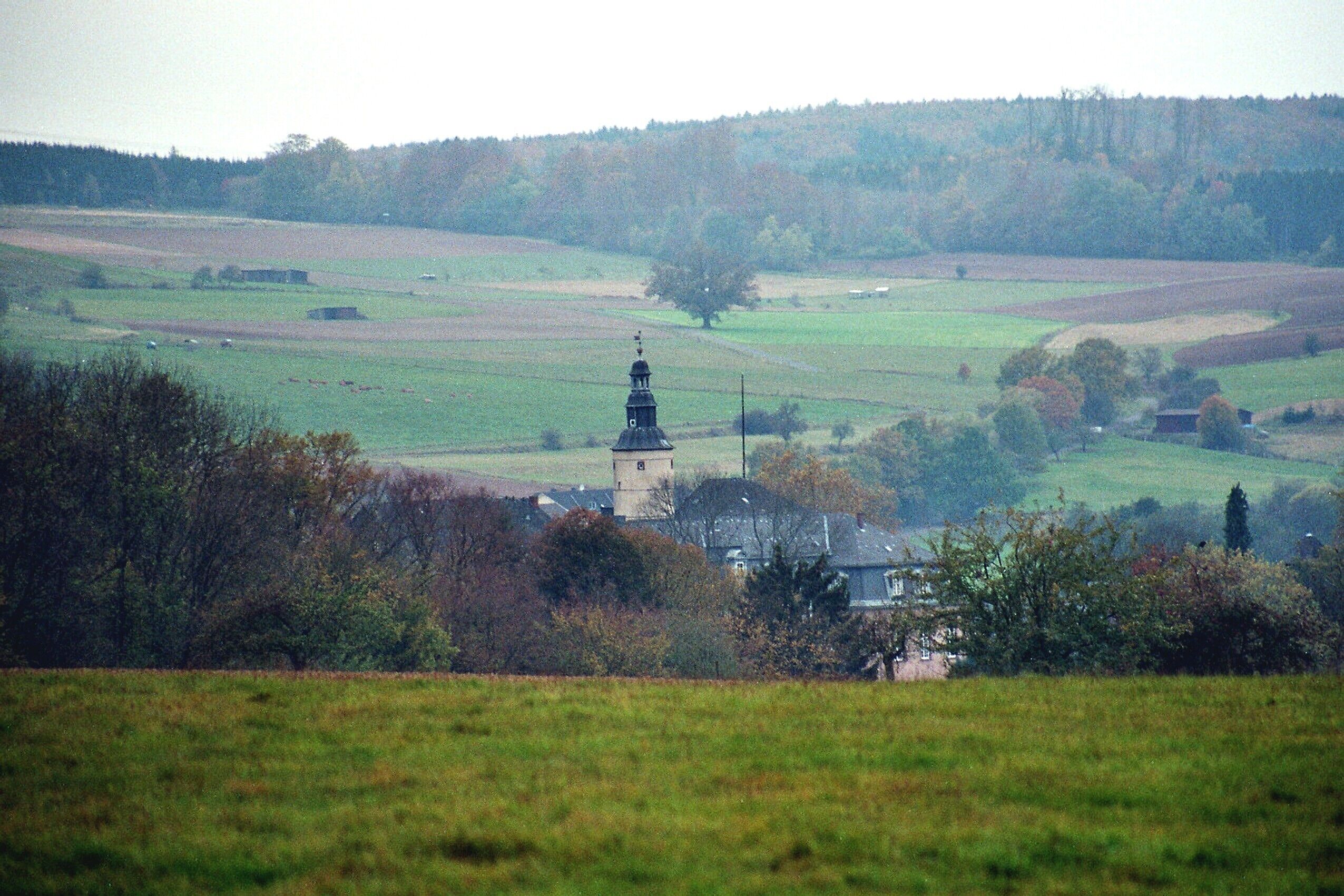 A rural landscape with a church tower, fields, and scattered trees.