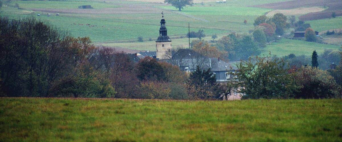 A rural landscape with a church tower, fields, and scattered trees.