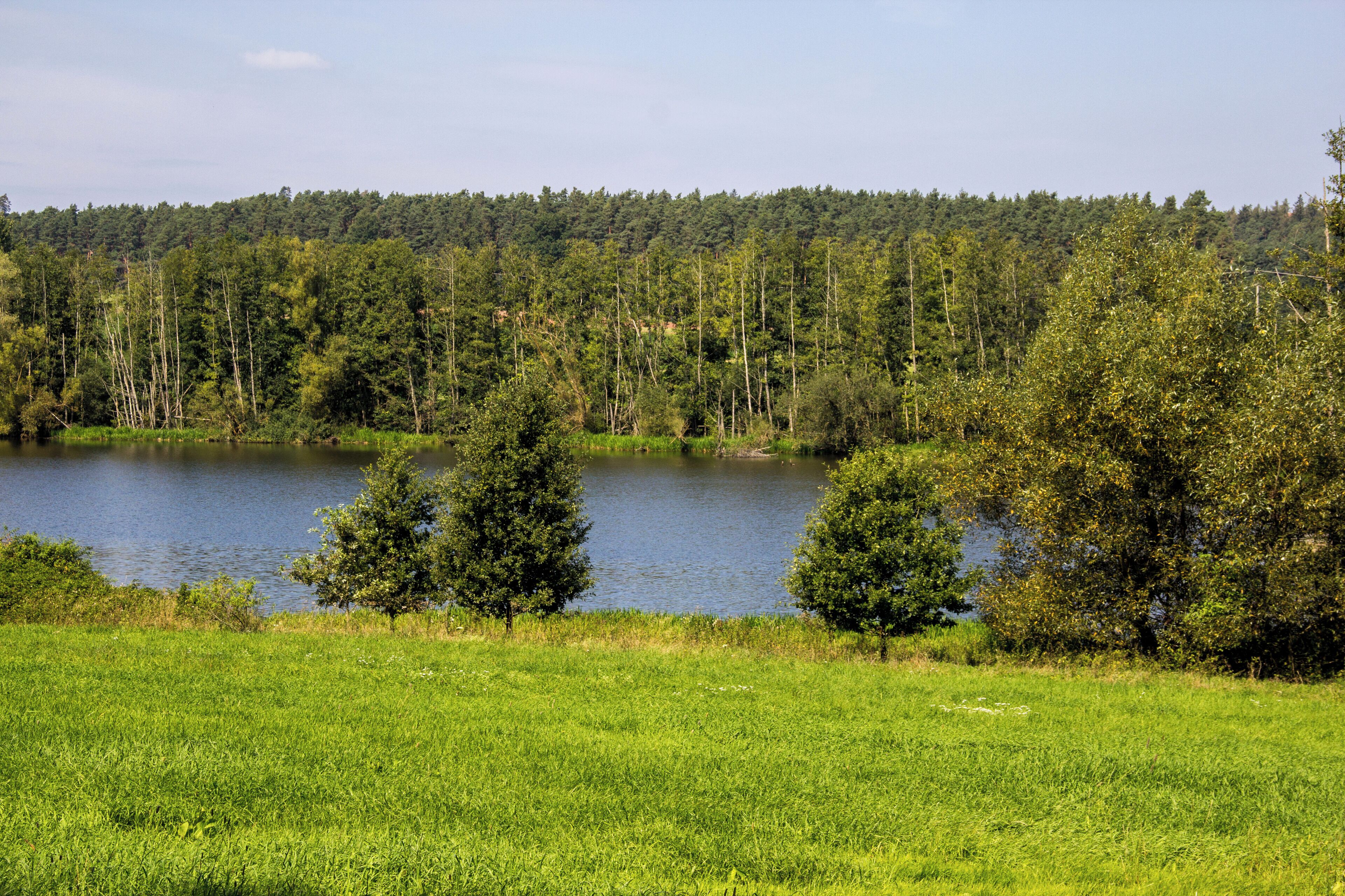 Stauwurzel des Igelsbachsees