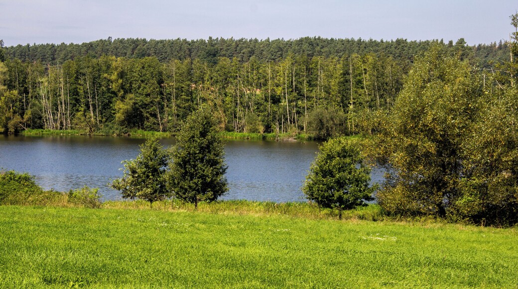 Stauwurzel des Igelsbachsees