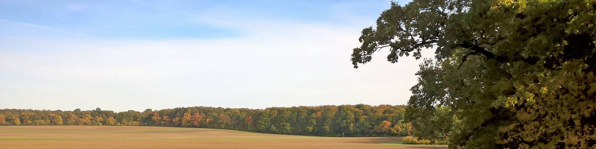 Blick nach Nordwesten, bei Heteborn