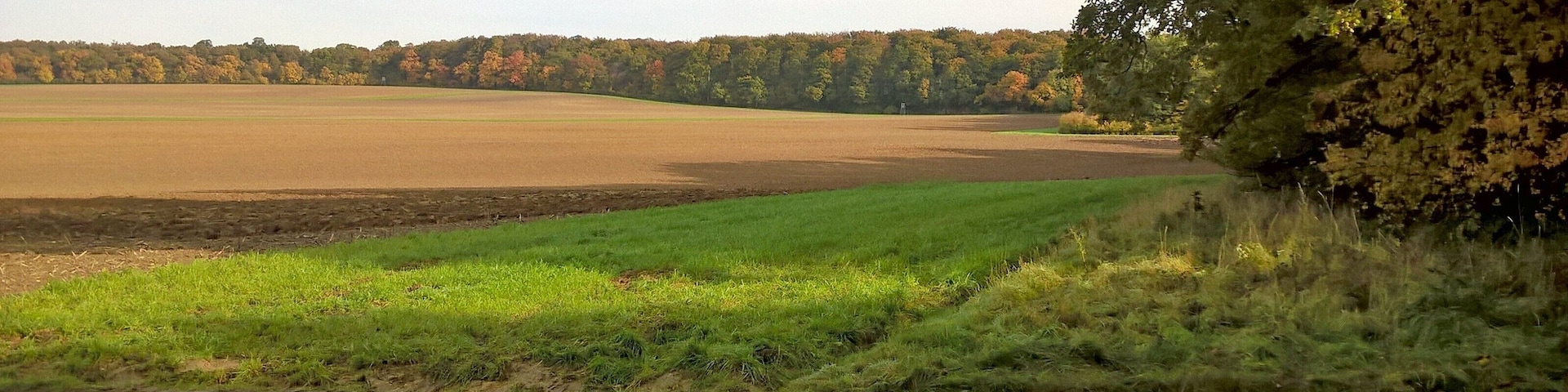 Blick nach Nordwesten, bei Heteborn
