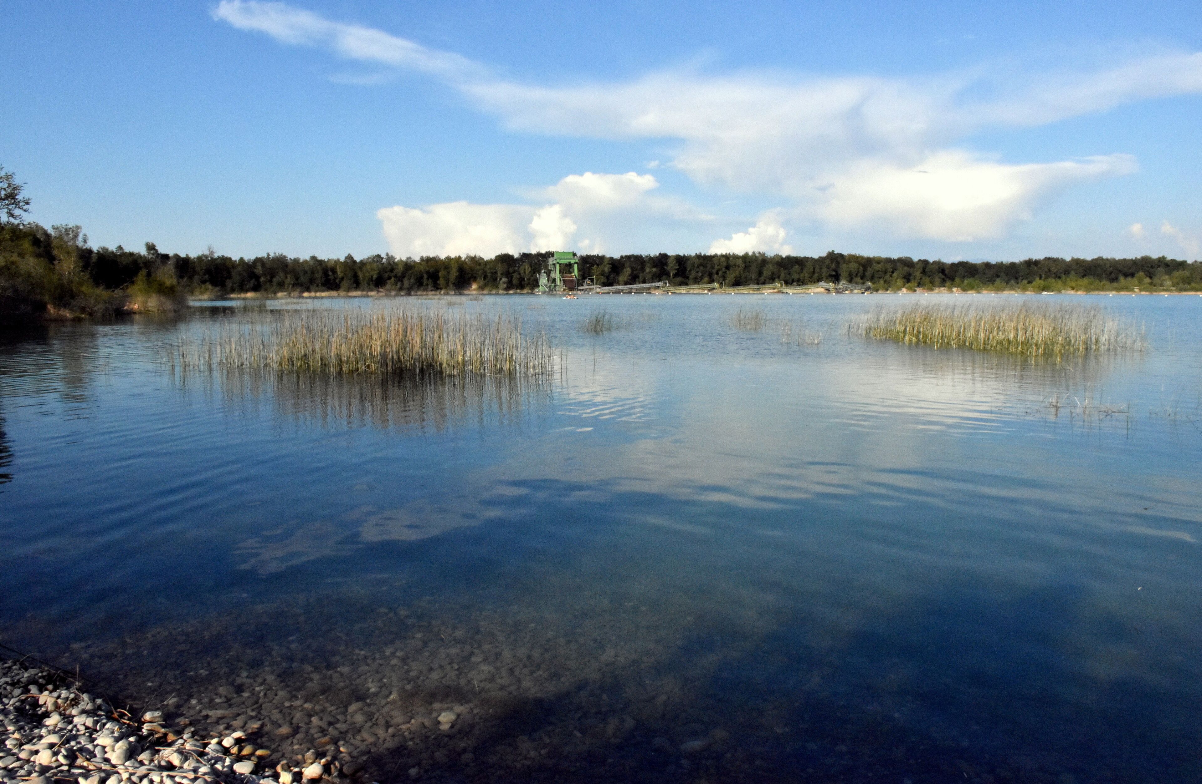 A calm lake with clear water, surrounded by trees and a distant green structure.
