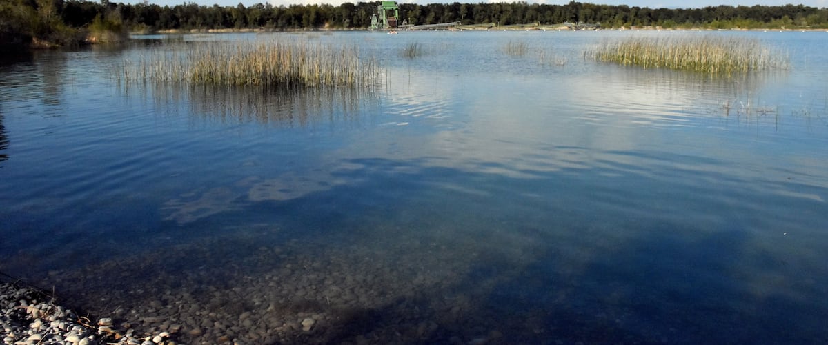 A calm lake with clear water, surrounded by trees and a distant green structure.