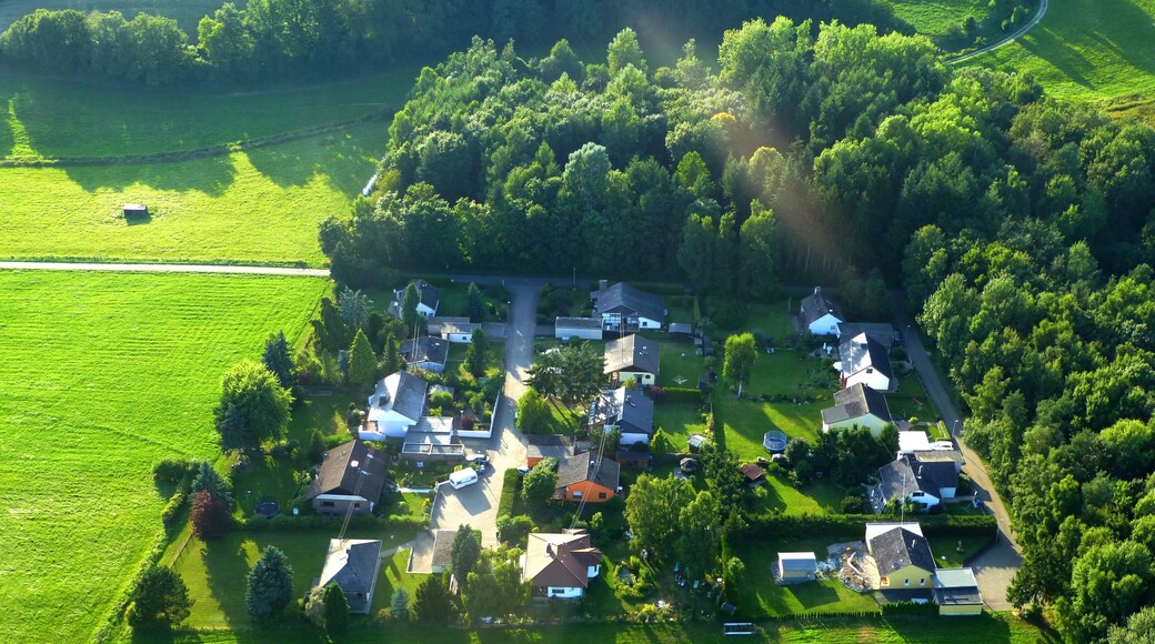 Riesweiler – Fichtenweg – Erlenweg - Birkenweg