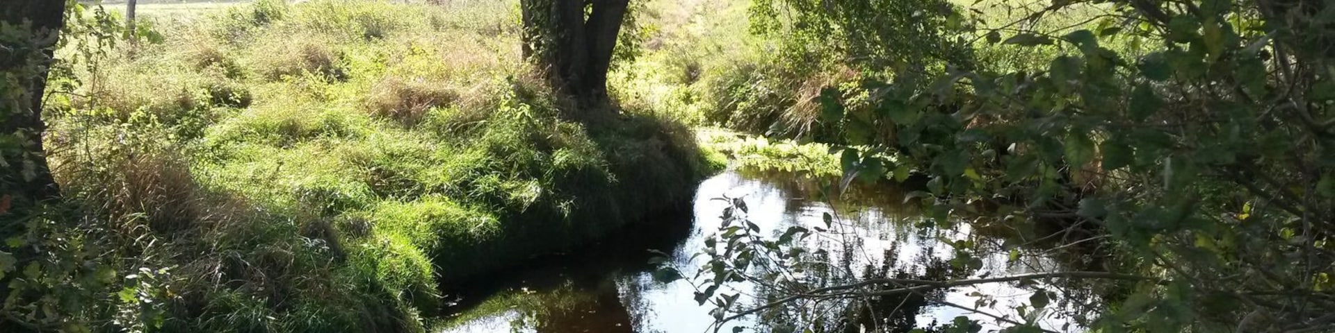 Todtgraben near Otter