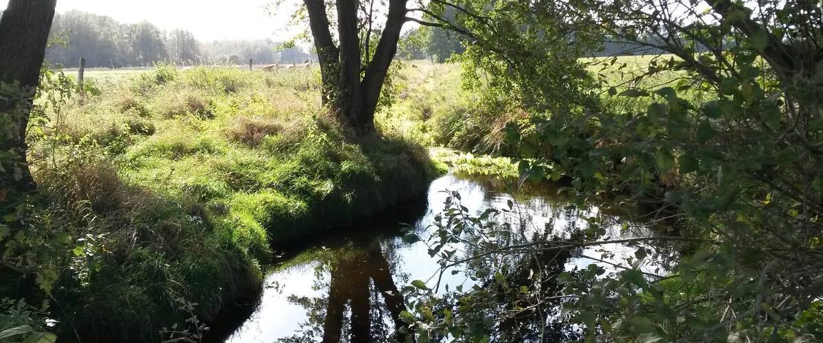A calm river with surrounding greenery and trees.