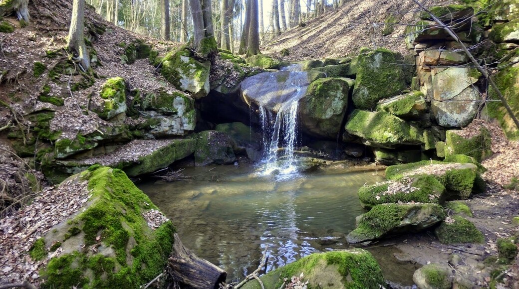 Hackersbachwasserfall 2