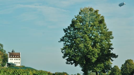 Blick von der B31 Richtung Schloss Hersberg