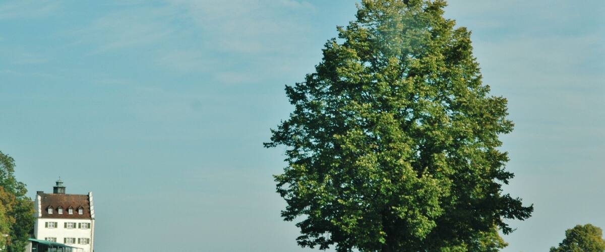 A large tree, a white building, and a police blimp in the sky.