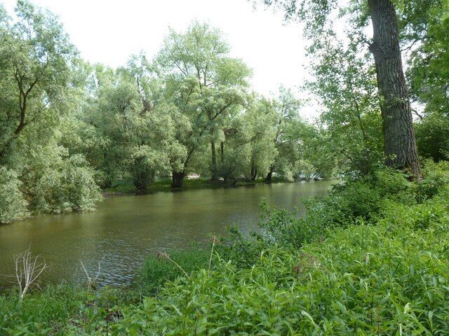 Lingenfelder Altrhein