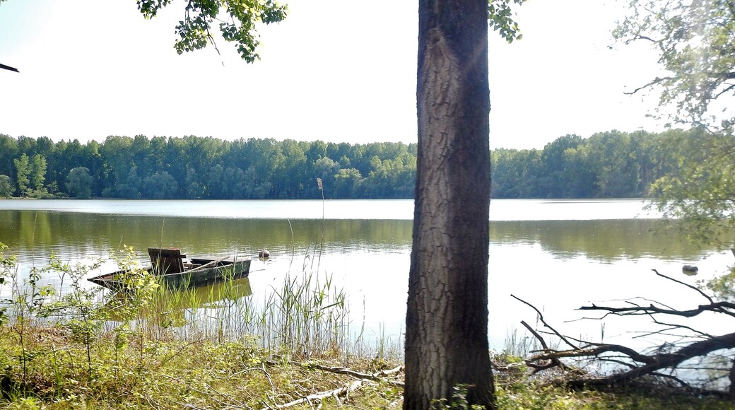 Beim Lingenfelder Altrhein