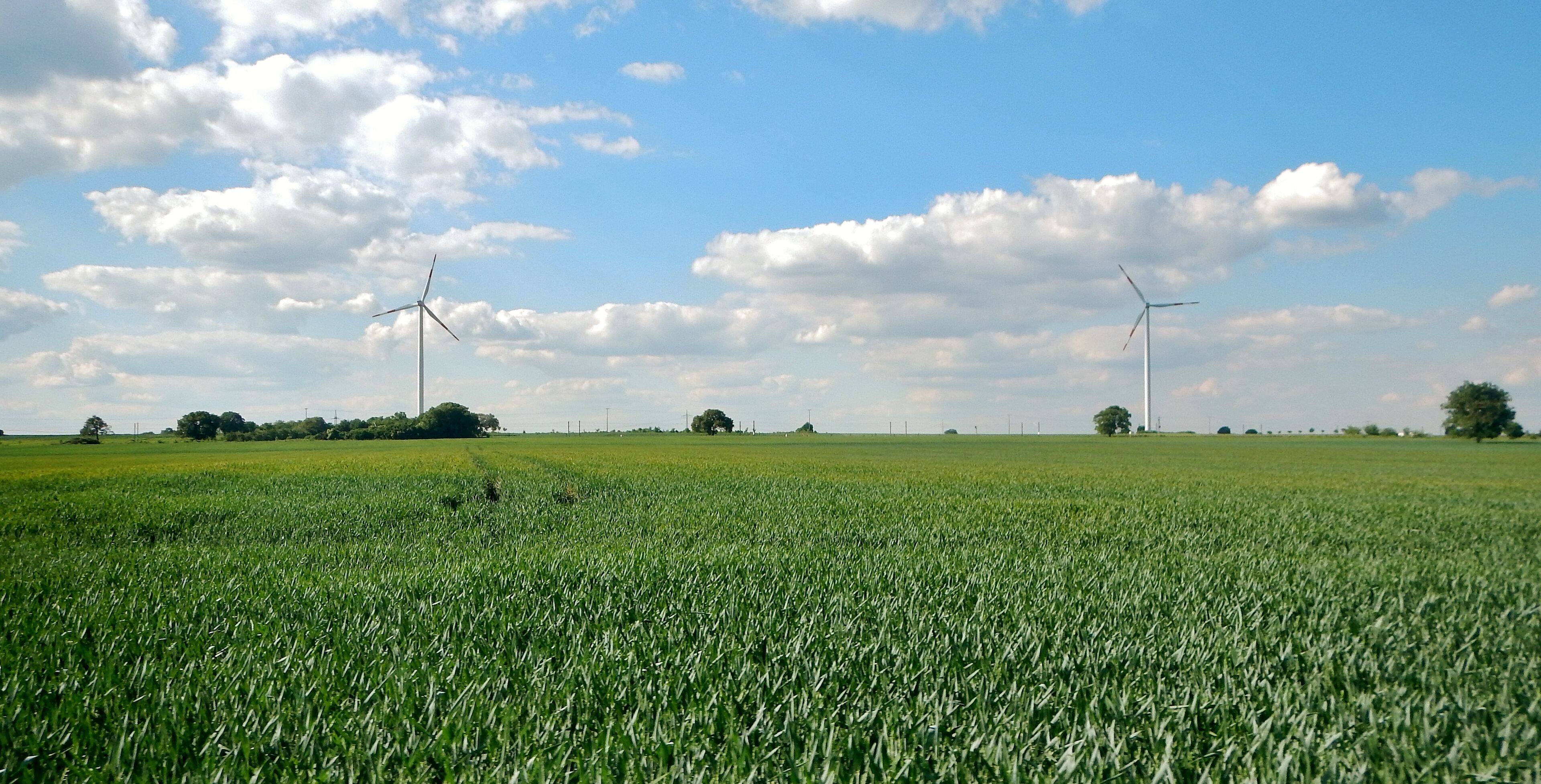 A green field with wind turbines in the distance under a partly cloudy sky.