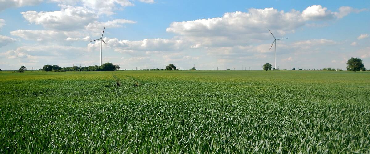 A green field with wind turbines in the distance under a partly cloudy sky.
