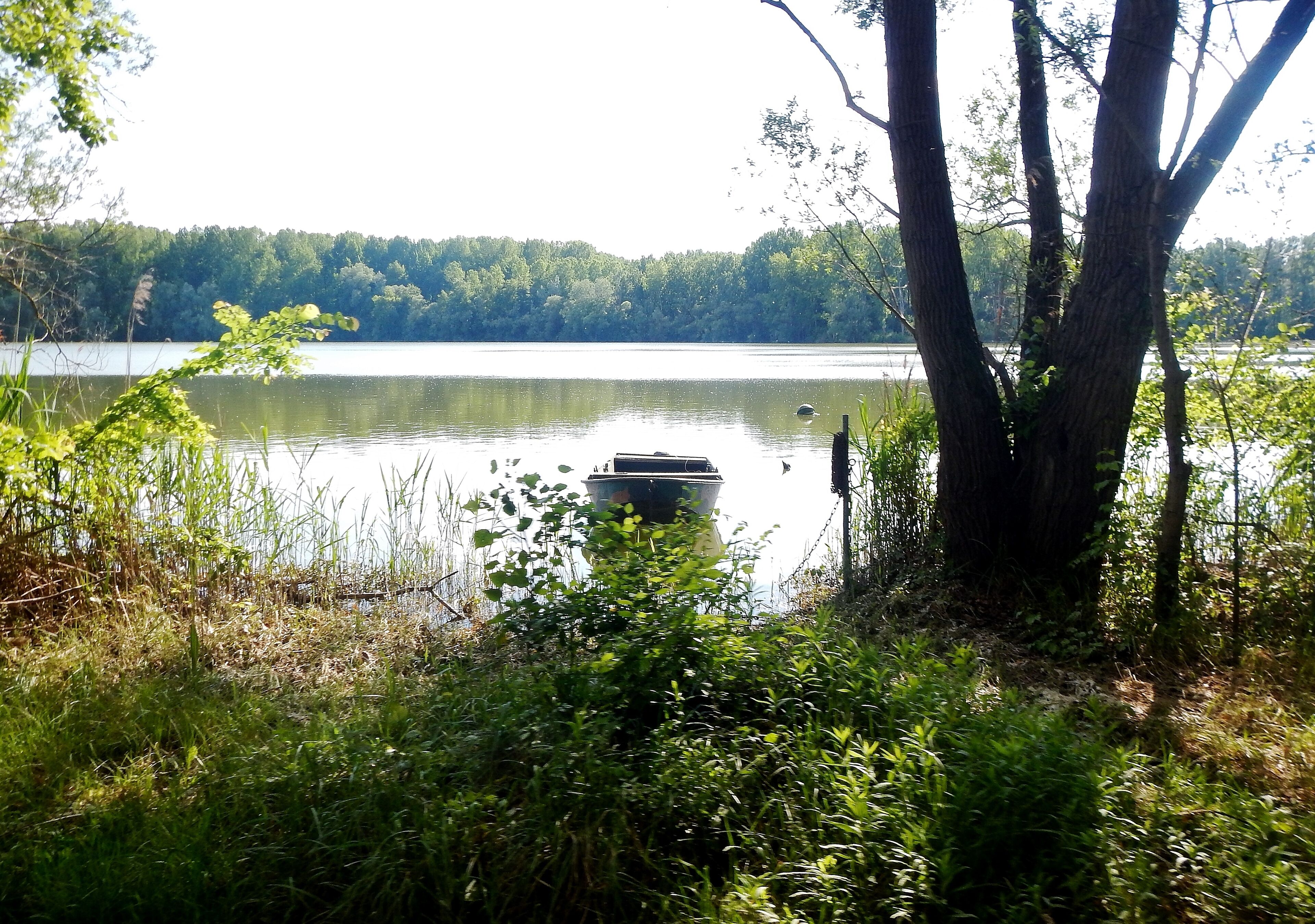 Beim Lingenfelder Altrhein